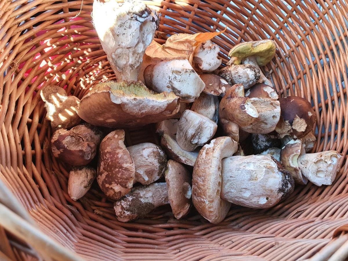 Gites Boulle Meyras Dış mekan fotoğraf